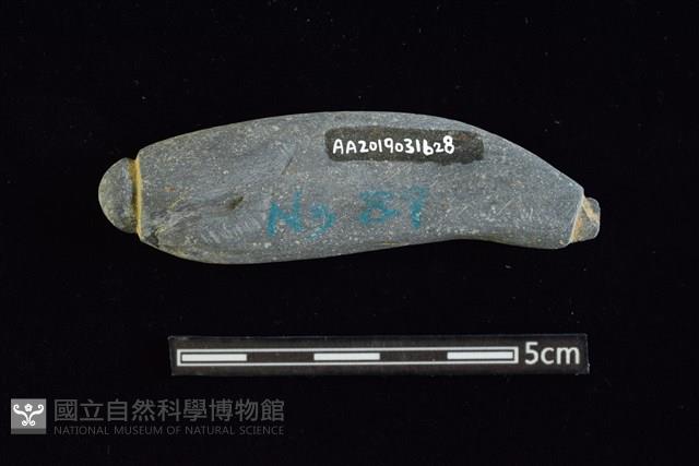 網墜藏品圖，第2張