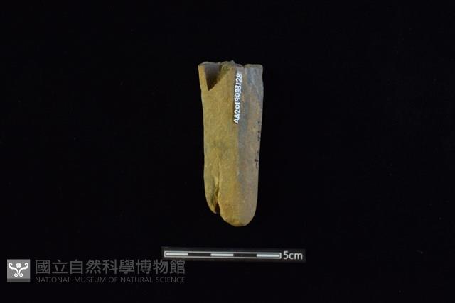 石鎚藏品圖，第2張