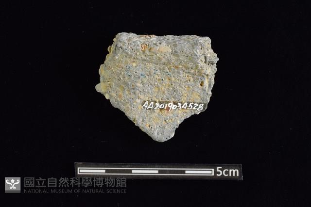 陶缽藏品圖，第2張