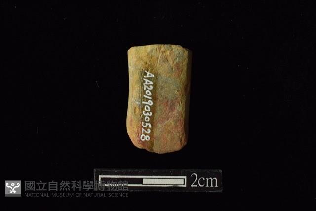 錛鑿形器藏品圖，第2張
