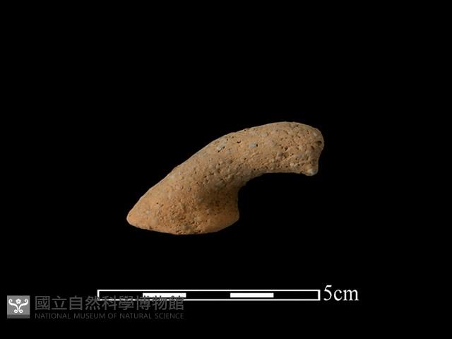 陶把藏品圖，第1張