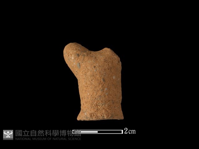陶蓋鈕藏品圖，第1張