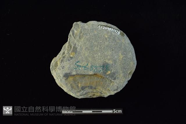 石圓片藏品圖，第2張