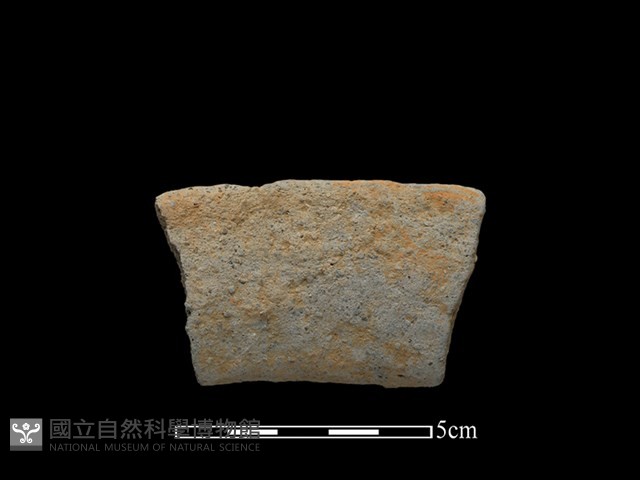 陶罐藏品圖，第2張