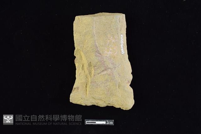 斧鋤形器藏品圖，第2張