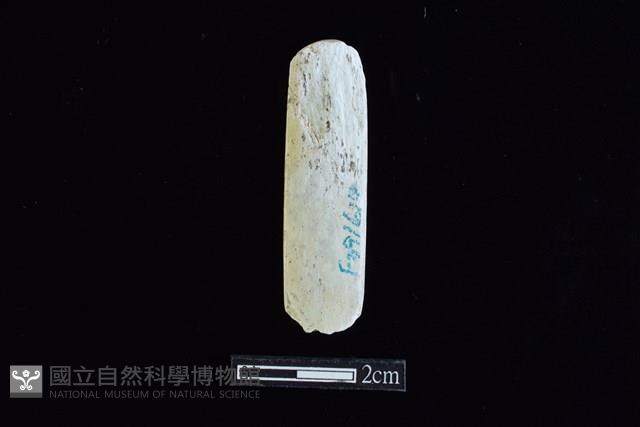 錛鑿形器藏品圖，第2張