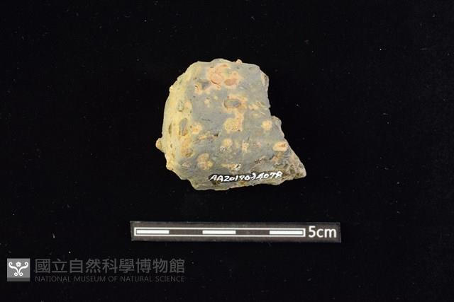 陶罐藏品圖，第2張