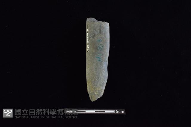 石鎚藏品圖，第2張