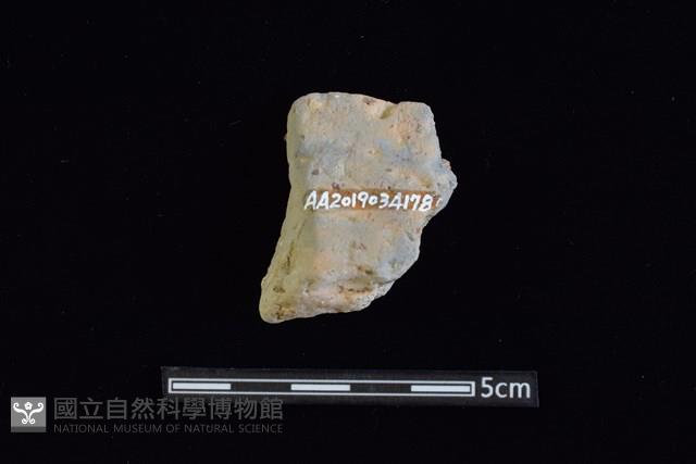 陶罐藏品圖，第2張