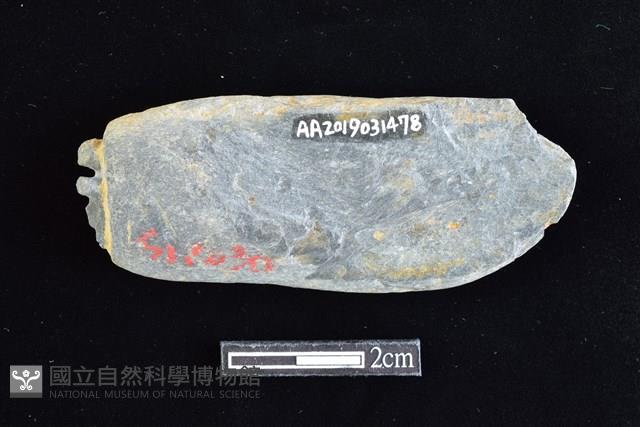 網墜藏品圖，第2張