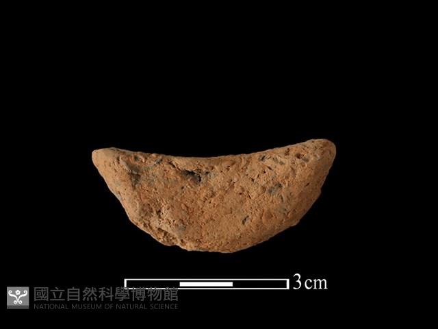 Accession Number:BY-2017-0878 Collection Image, Figure 1, Total 2 Figures