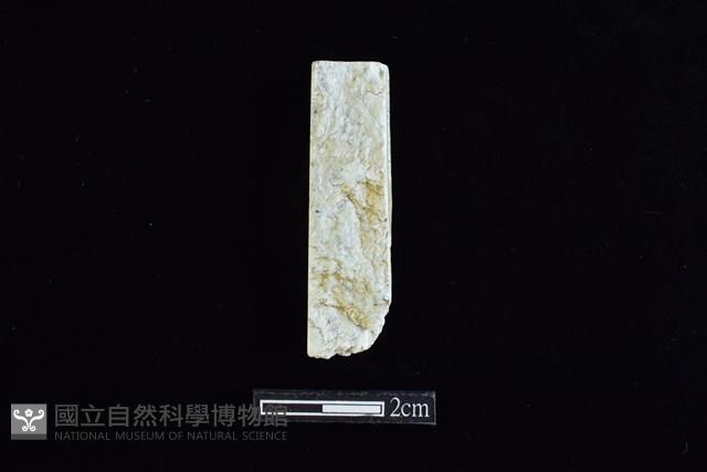 錛鑿形器藏品圖，第2張