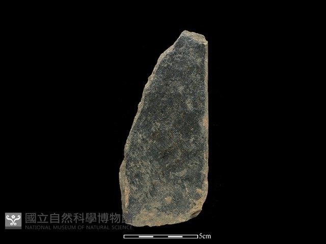 磨製斧鋤形器藏品圖，第2張