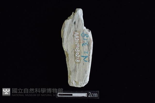 錛鑿形器藏品圖，第2張