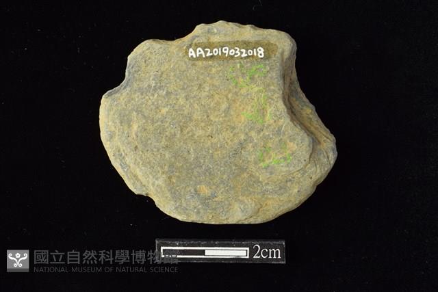 網墜藏品圖，第2張