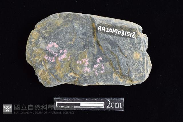 網墜藏品圖，第2張