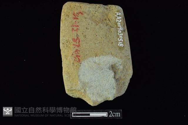 錛鑿形器藏品圖，第2張