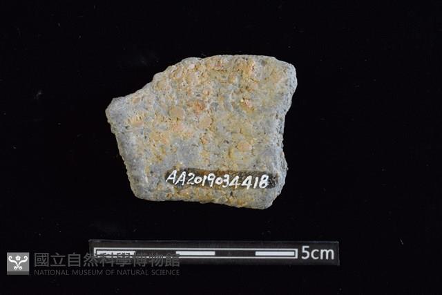 陶罐藏品圖，第2張