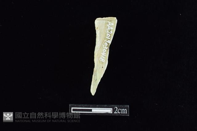 錛鑿形器藏品圖，第2張