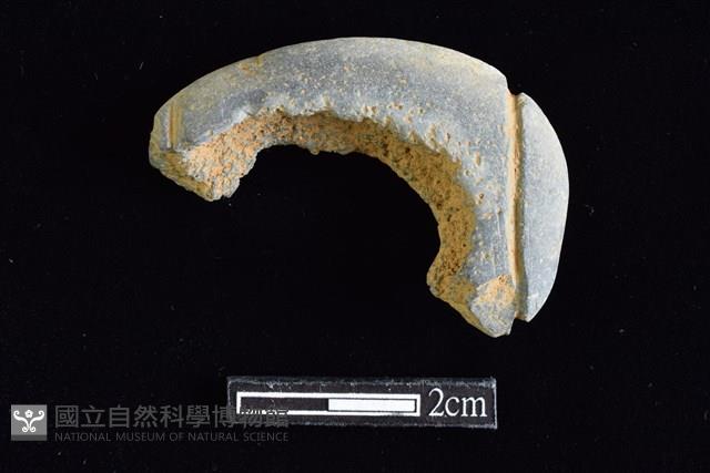 網墜藏品圖，第1張