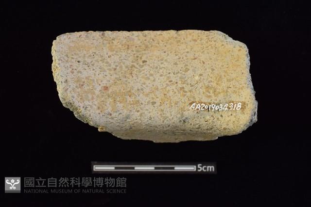 陶罐藏品圖，第2張