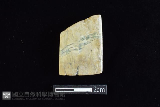 錛鑿形器藏品圖，第2張