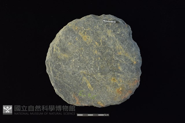 石圓片藏品圖，第2張