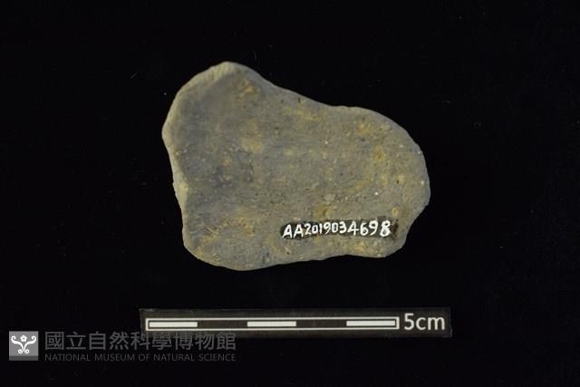 陶片藏品圖，第2張