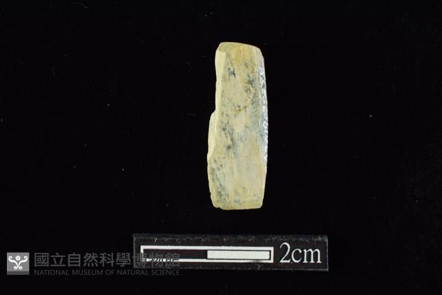 錛鑿形器藏品圖，第1張