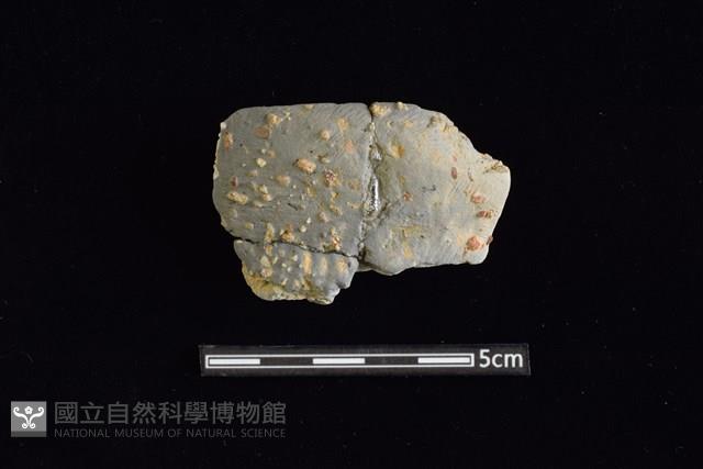 陶罐藏品圖，第1張