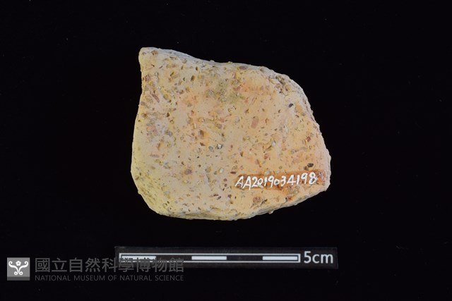 陶片藏品圖，第2張