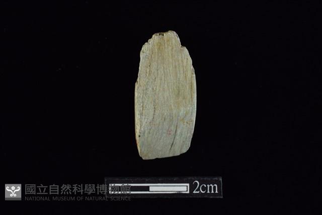錛鑿形器藏品圖，第1張