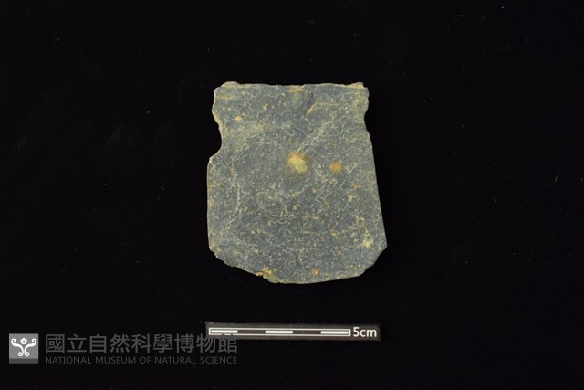 戈形器藏品圖，第2張