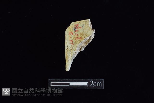 錛鑿形器藏品圖，第2張