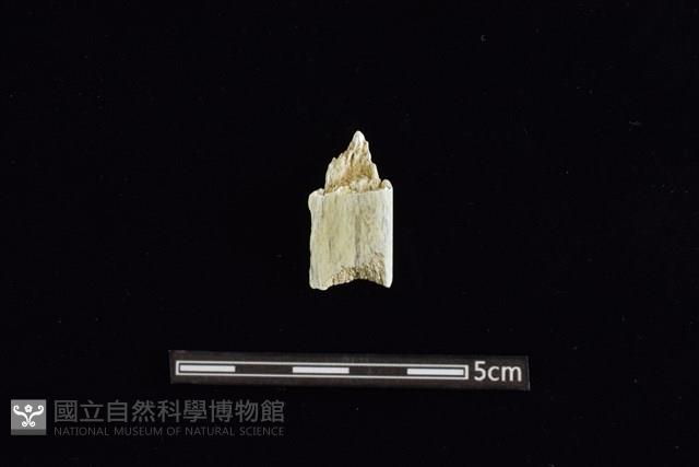 玉料藏品圖，第2張