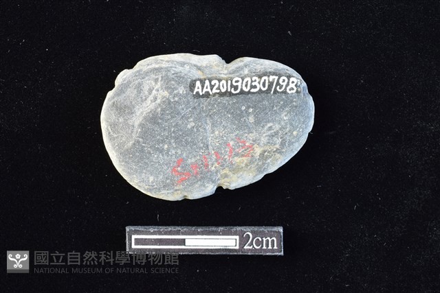 網墜藏品圖，第2張