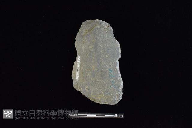 戈形器藏品圖，第2張