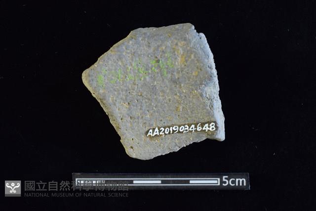 陶罐藏品圖，第2張