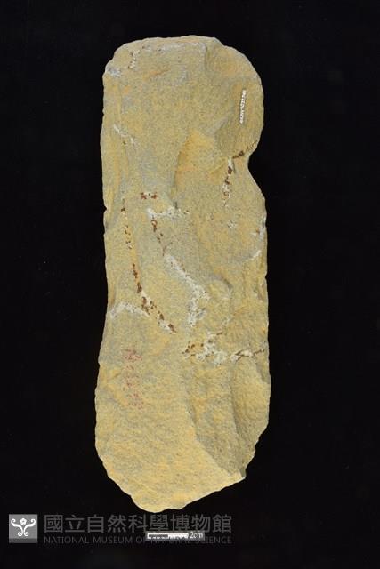 斧鋤形器藏品圖，第2張