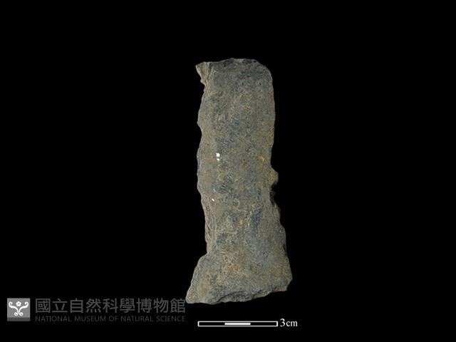 磨製有刃石器藏品圖，第2張