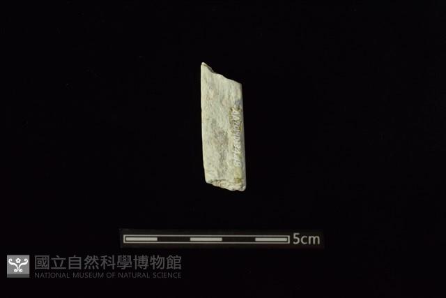 玉料藏品圖，第2張