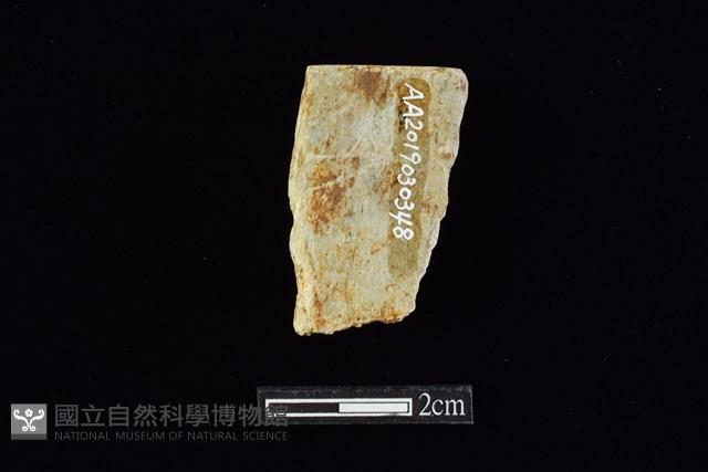 錛鑿形器藏品圖，第2張