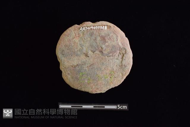 石圓片藏品圖，第2張