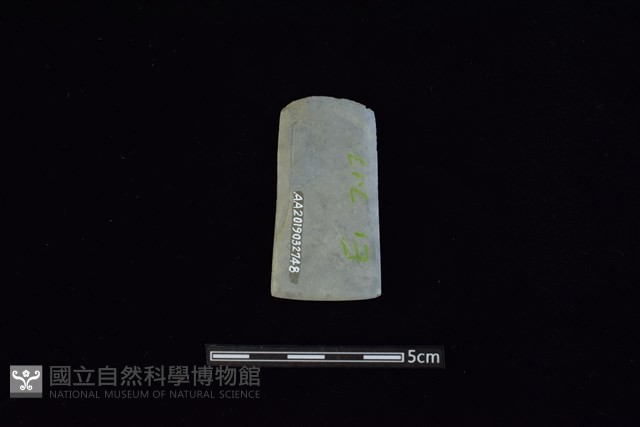 矛鏃形器藏品圖，第2張