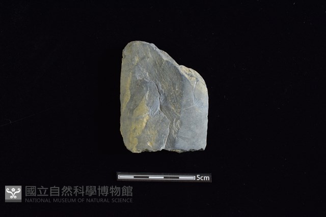 戈形器藏品圖，第2張