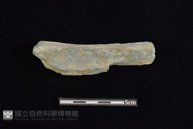 石鎚藏品圖，第2張