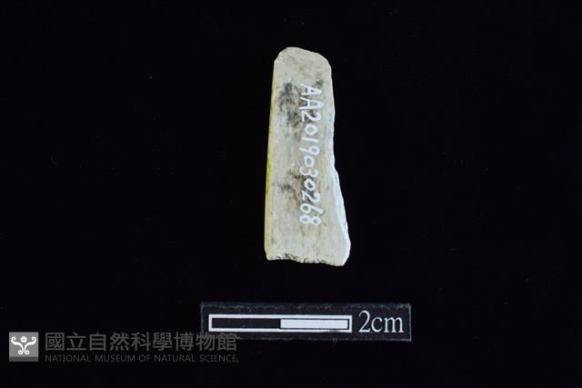 錛鑿形器藏品圖，第2張