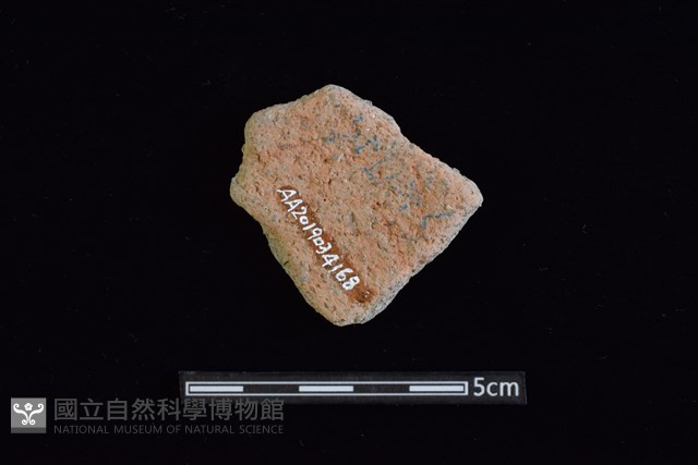 陶片藏品圖，第2張