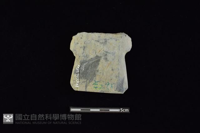 戈形器藏品圖，第2張