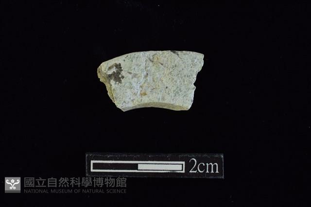 玉料藏品圖，第2張